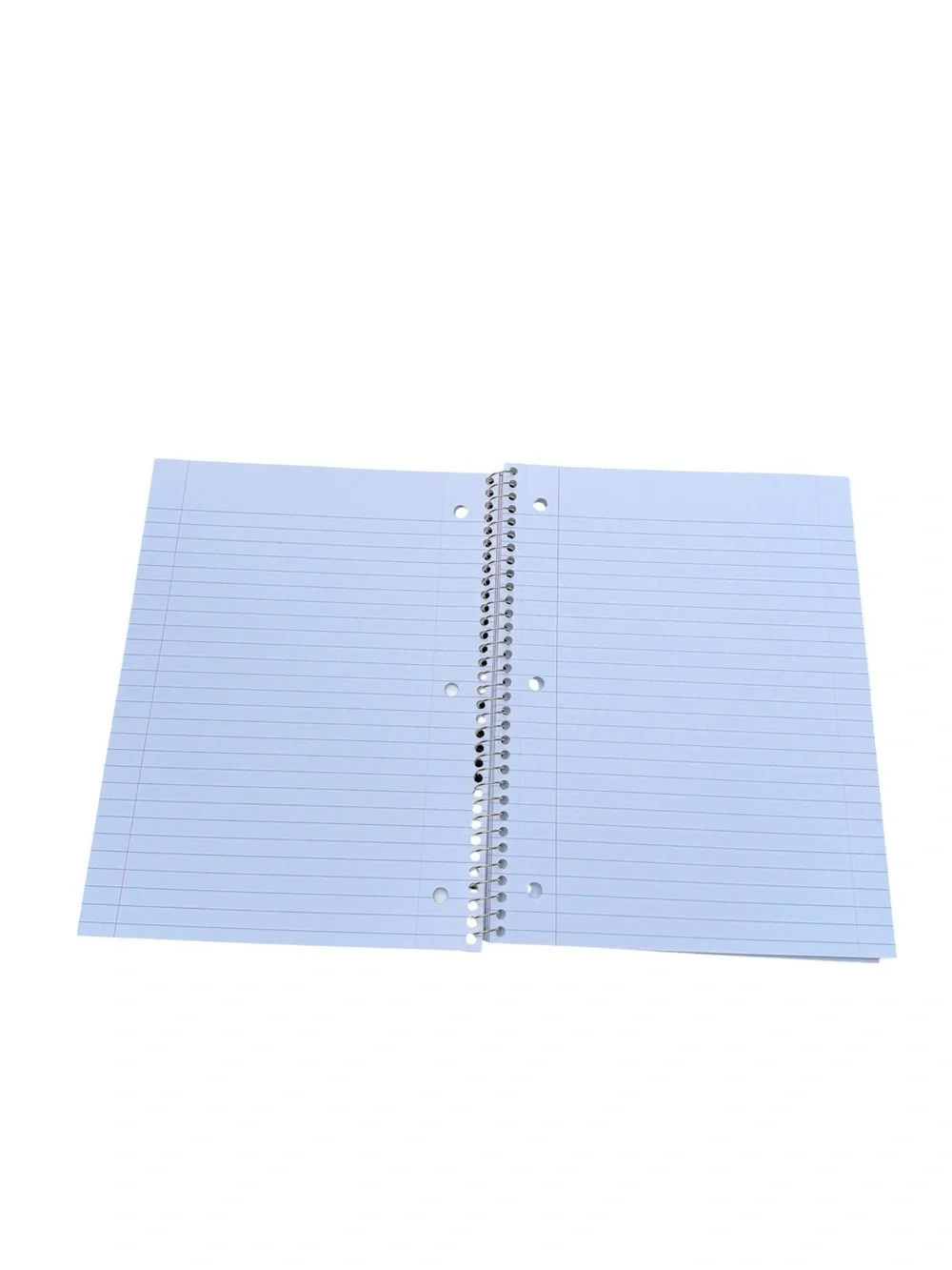 LoveShackFancy Notebooks  Everblooming Rosettes & Ikat Rose bundle of 2